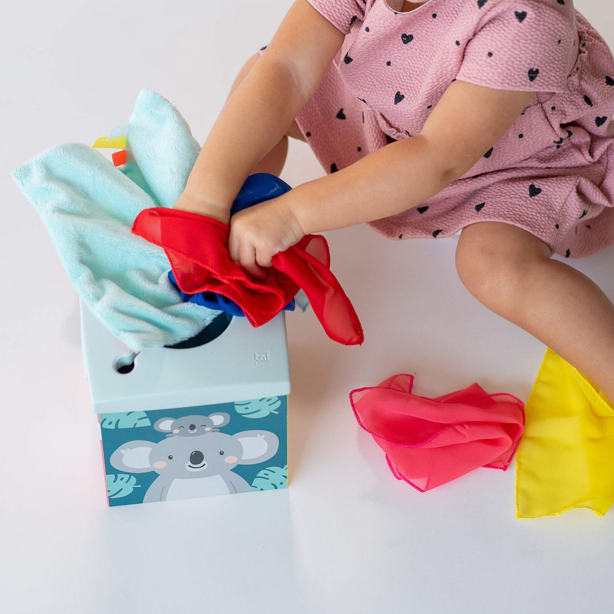 Taf Toys Kimmy Koala Wonder Tissue Box 9M+ — BambiniJO Jordan