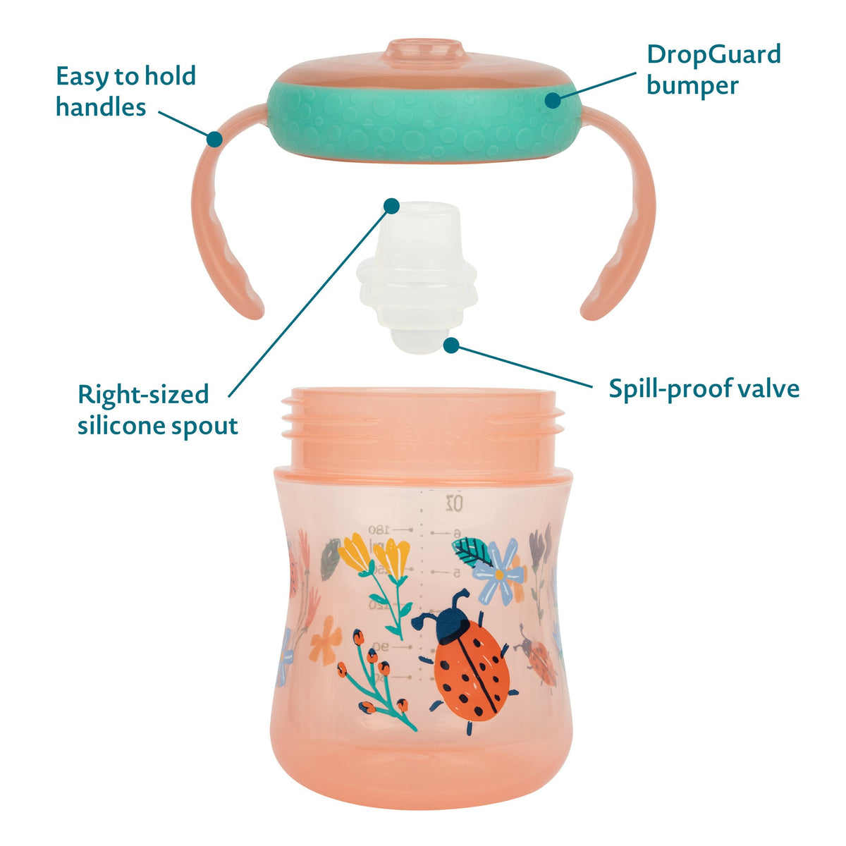The First Years Soft Spout Trainer Cups 2 x 207ml — BambiniJO Jordan
