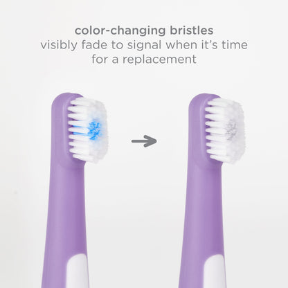 Ubbi Bristled Toddler Toothbrush 2 Pcs Purple / Green — BambiniJO Jordan