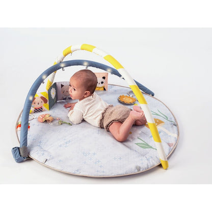 Taf Toys Melody Bloom Gym 0-12M — BambiniJO Jordan