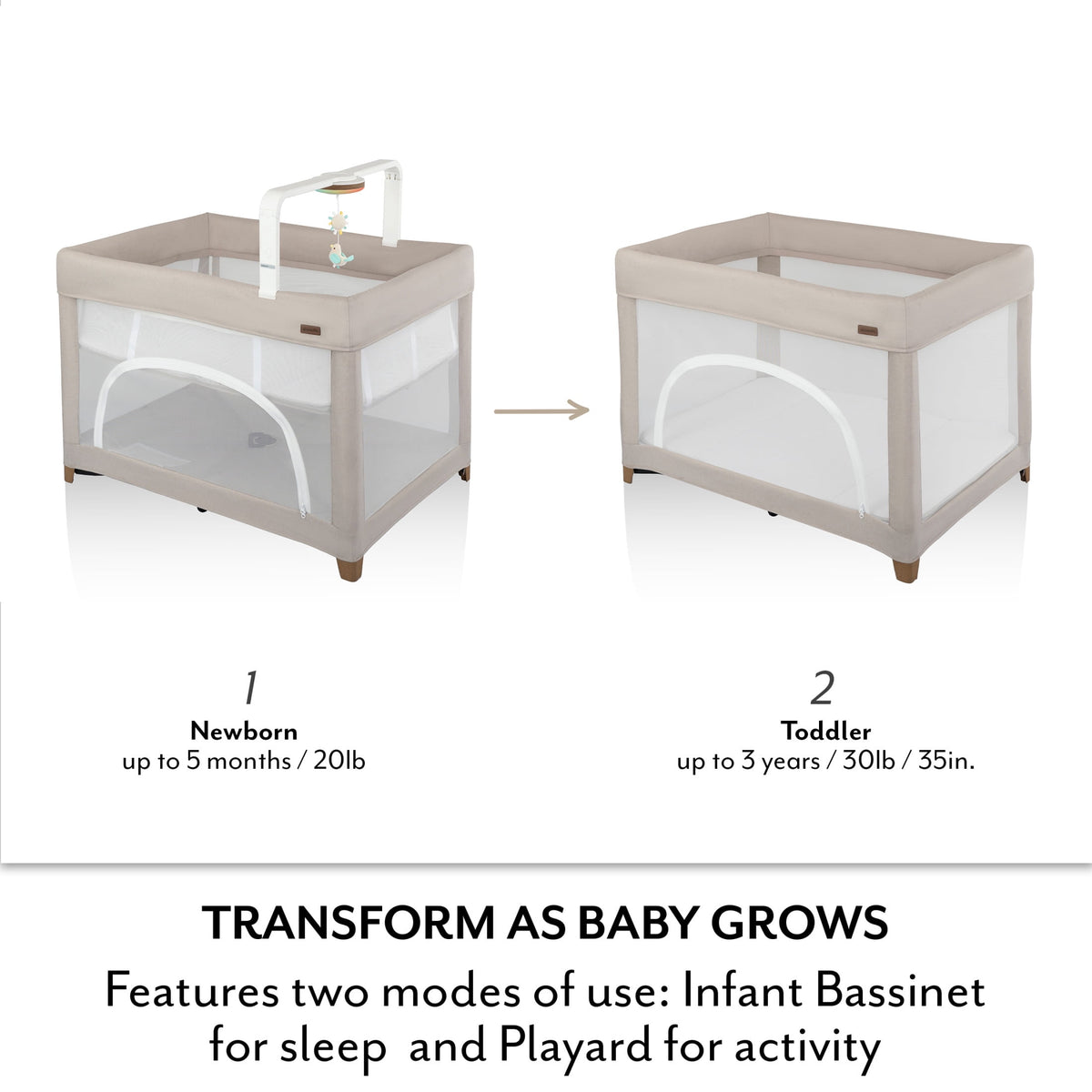 Evenflo - Eris One-Hand Playard with Bassinet | Coastal Coffee