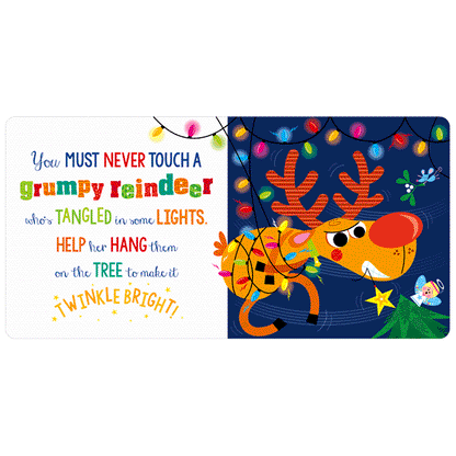 Never Touch a Grumpy Reindeer! 0-2 Years