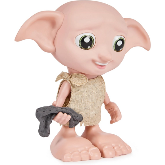 Interactive Dobby