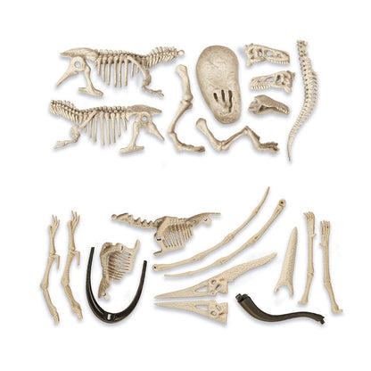Jurassic World Dig Kit T-Rex skeleton