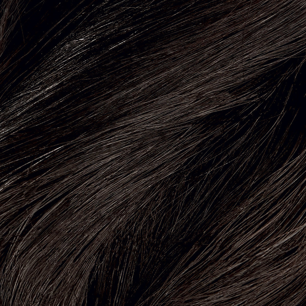 Herbatint 3N Dark Chestnut hair colour swatch — BambiniJO Jordan