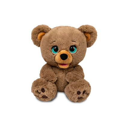 Sky Rocket - Poe the AI Story Bear 4Y+ — BambiniJO Jordan