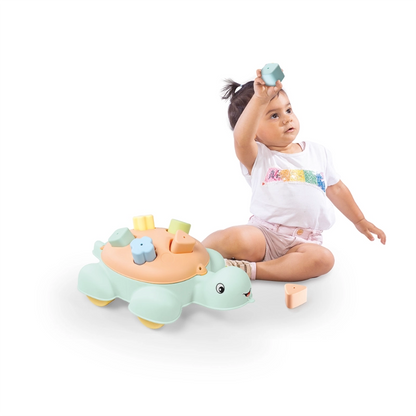 Dolu - Turtle Shape Sorter (New)- 5 Pcs | 1Y+