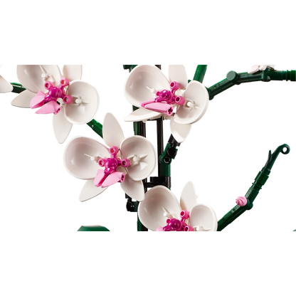 Lego - Orchid 608 Pcs 18Y+ — BambiniJO Jordan