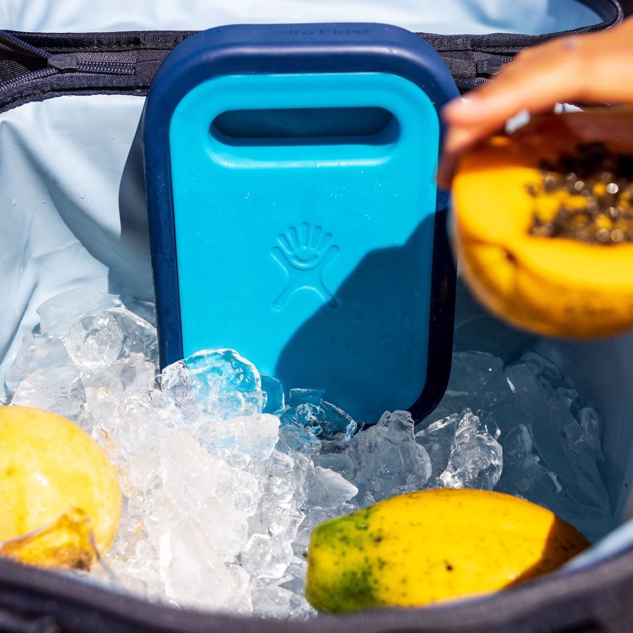 Hydro Flask - Ice Pack | Medium | PACIFIC Hydro Flask - Ice Pack | Medium | PACIFIC