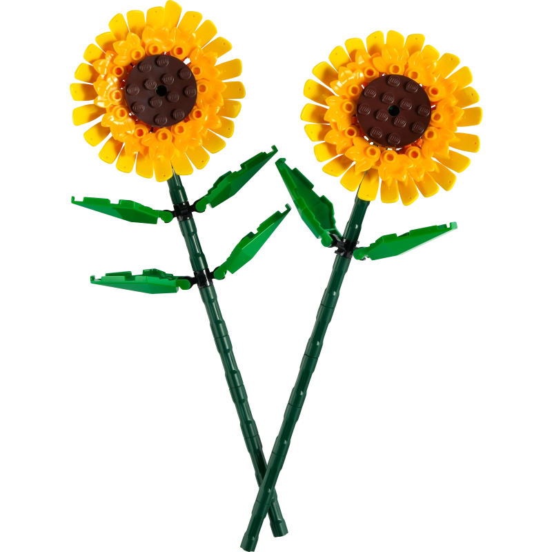 Lego - Sunflowers 191 Pcs 8Y+ — BambiniJO Jordan