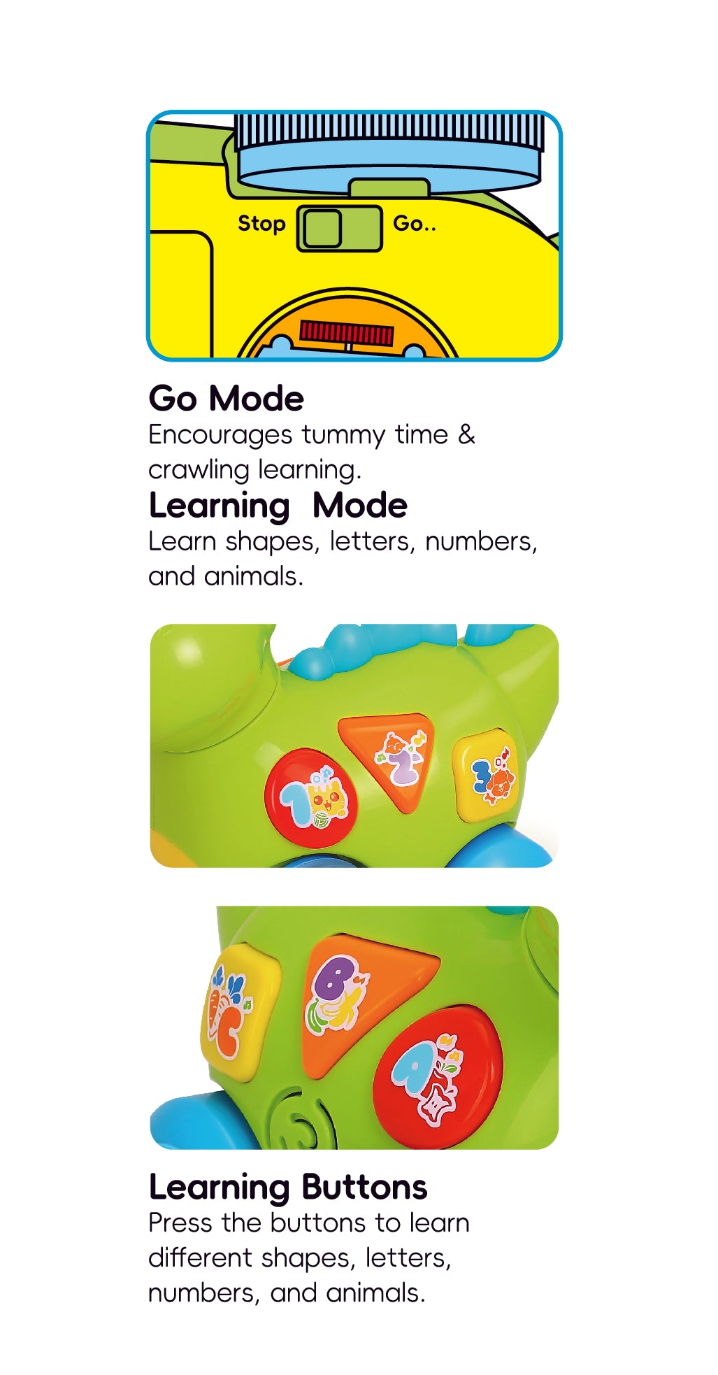 HOLA - Learning Dino Activity Toy
