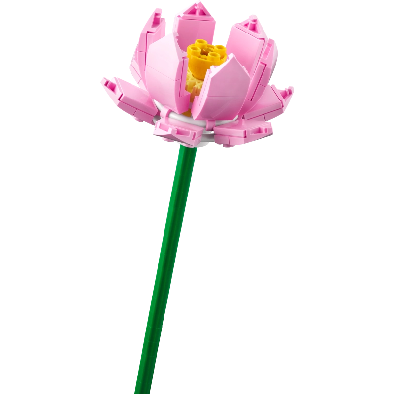 Lego - Lotus Flowers 220 Pcs 8Y+ — BambiniJO Jordan