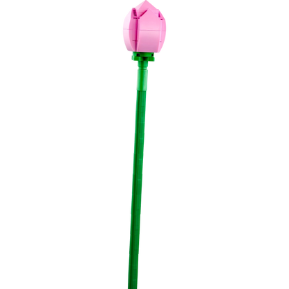 Lego - Lotus Flowers 220 Pcs 8Y+ — BambiniJO Jordan