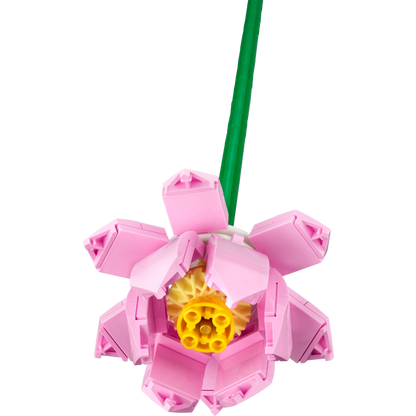 Lego - Lotus Flowers 220 Pcs 8Y+ — BambiniJO Jordan