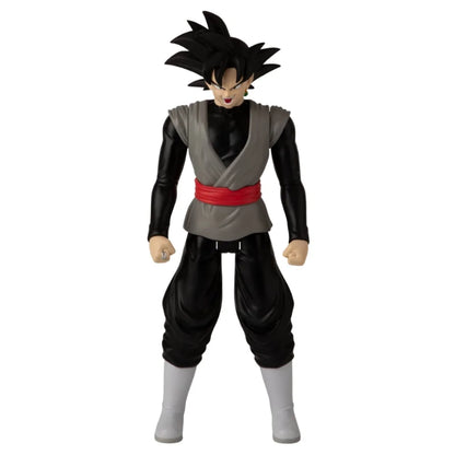 Limit Breaker Goku Black