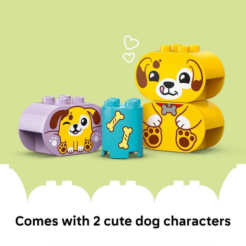 Lego - Shape Sorter: Puppy House 17 Pcs 18M+ — BambiniJO Jordan