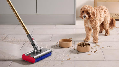 Dyson V12s Detect Slim Submarine cleaning pet mess — BambiniJO Jordan