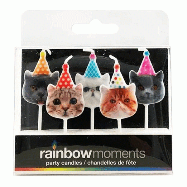 Rainbow Moments - Cat Candles | 5 pack Rainbow Moments - Cat Candles | 5 pack