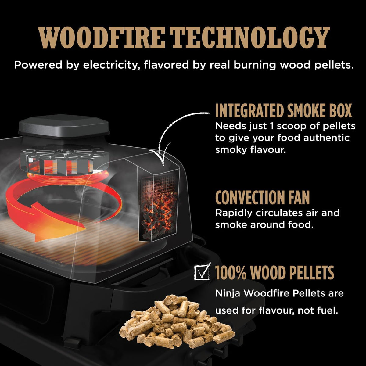 Ninja Woodfire Electric BBQ Grill & Smoker — BambiniJO Jordan