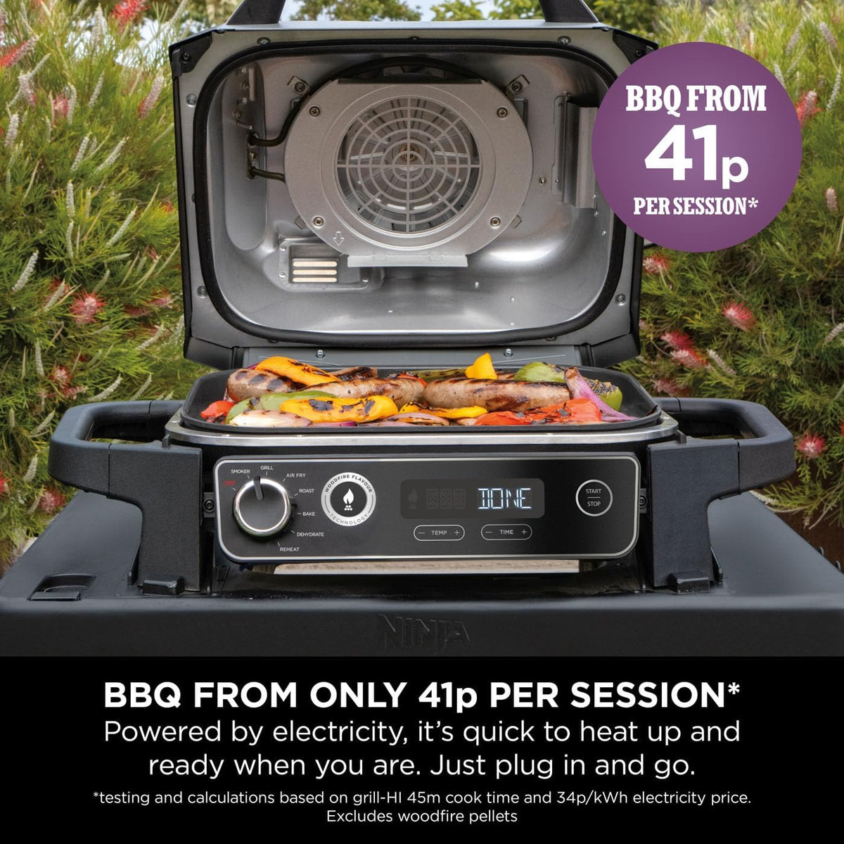 Ninja Woodfire Electric BBQ Grill & Smoker — BambiniJO Jordan