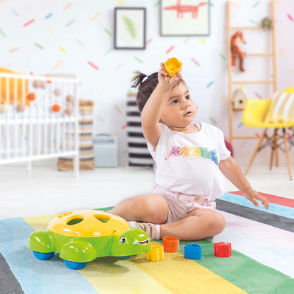 Dolu - Turtle Shape Sorter | 1Y+ — BambiniJO Jordan