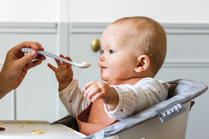 Beaba - 1st Age Silicone Spoons + Case | Nature | Set of 2 | 4m+