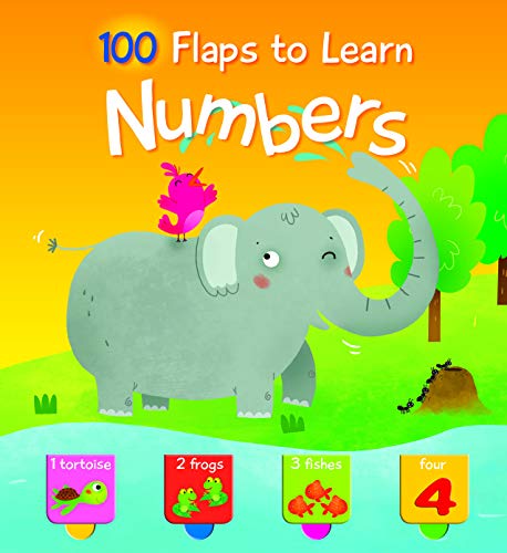 YoYo Flaps to Learn Numbers - BambiniJO | Buy Online | Jordan
