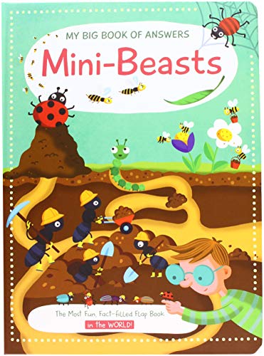 YoYo - Big Book of Answers: Mini Beasts