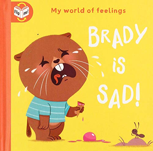 YoYo - Brady Is Sad