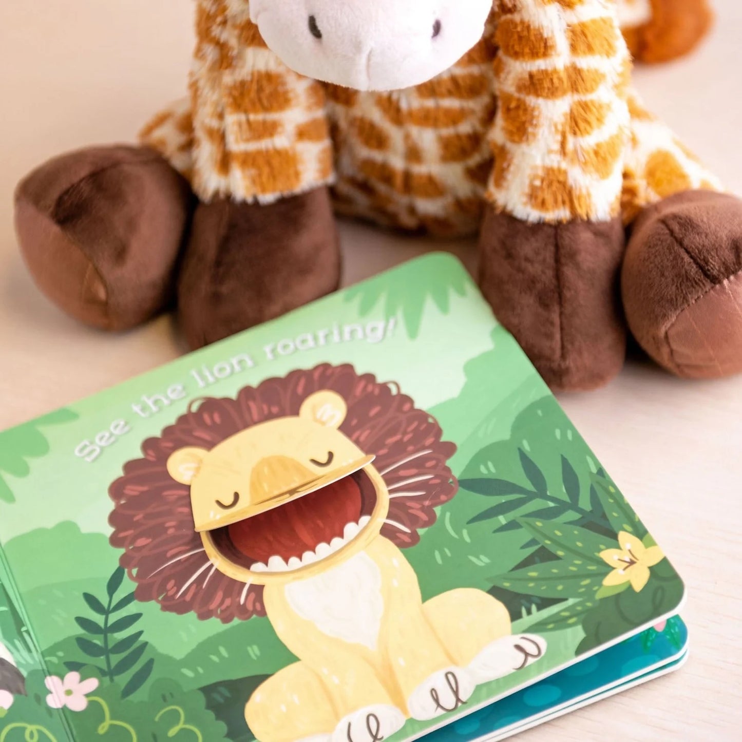 Stephen Joseph - Board Book - Zoo