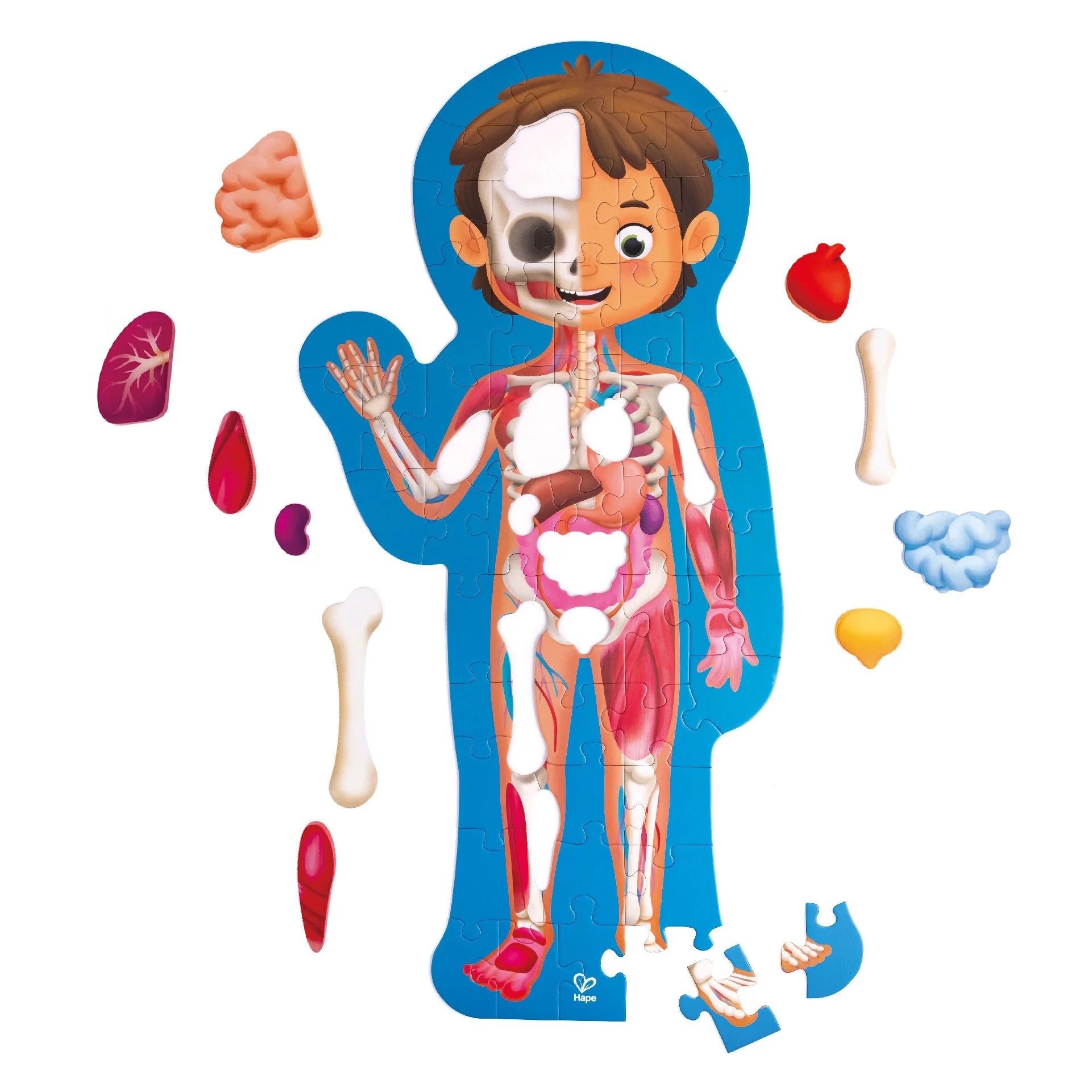 Hape - Human Body Puzzle Hape - Human Body Puzzle