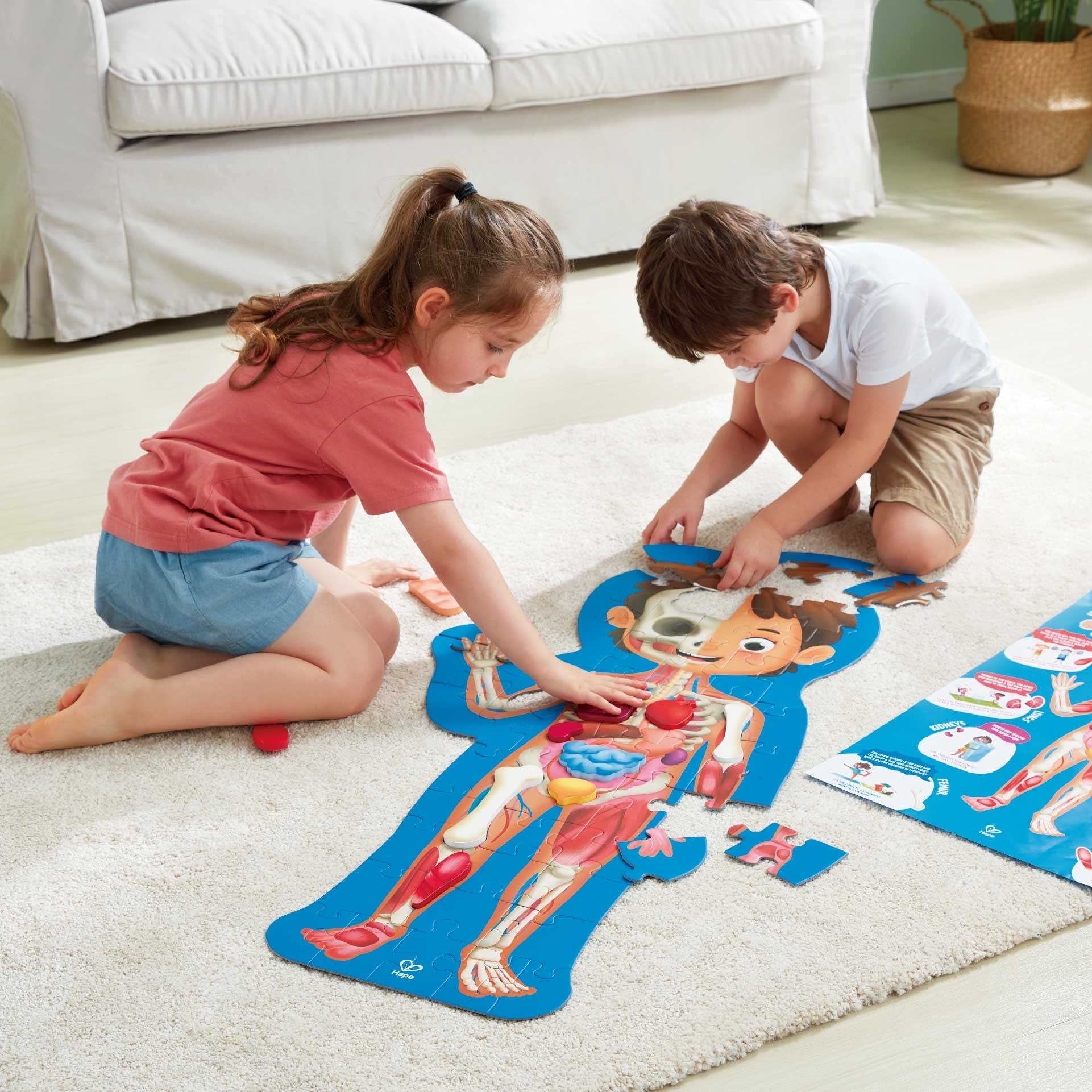 Hape - Human Body Puzzle Hape - Human Body Puzzle