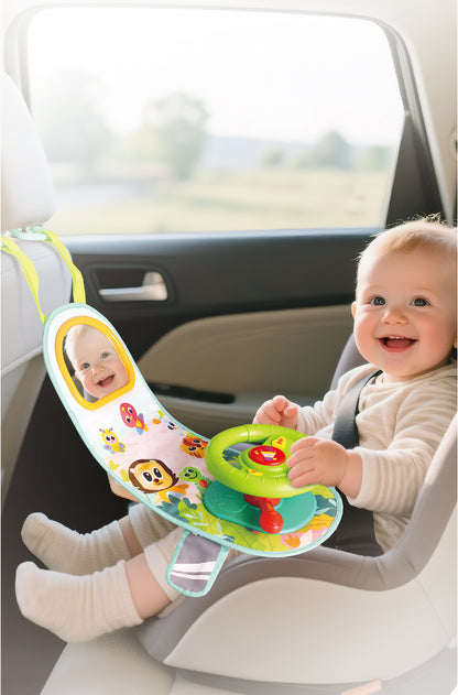 HOLA - Car Steering Wheel