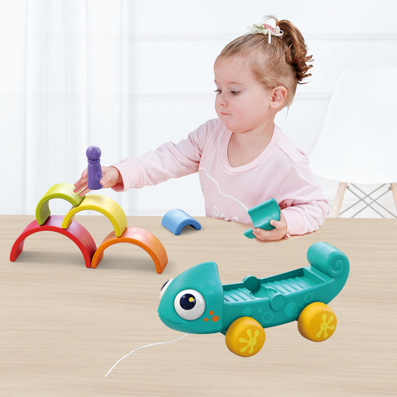 HOLA - Rainbow Chameleon HOLA - Rainbow Chameleon