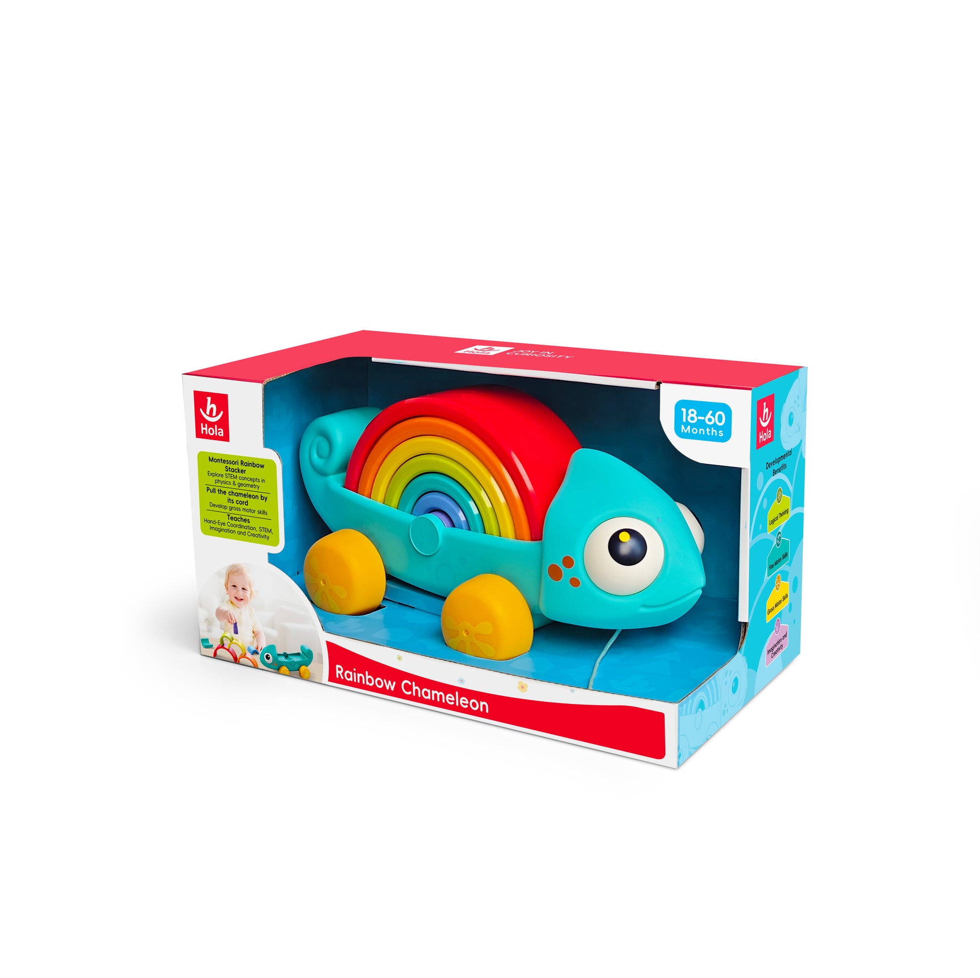HOLA - Rainbow Chameleon HOLA - Rainbow Chameleon