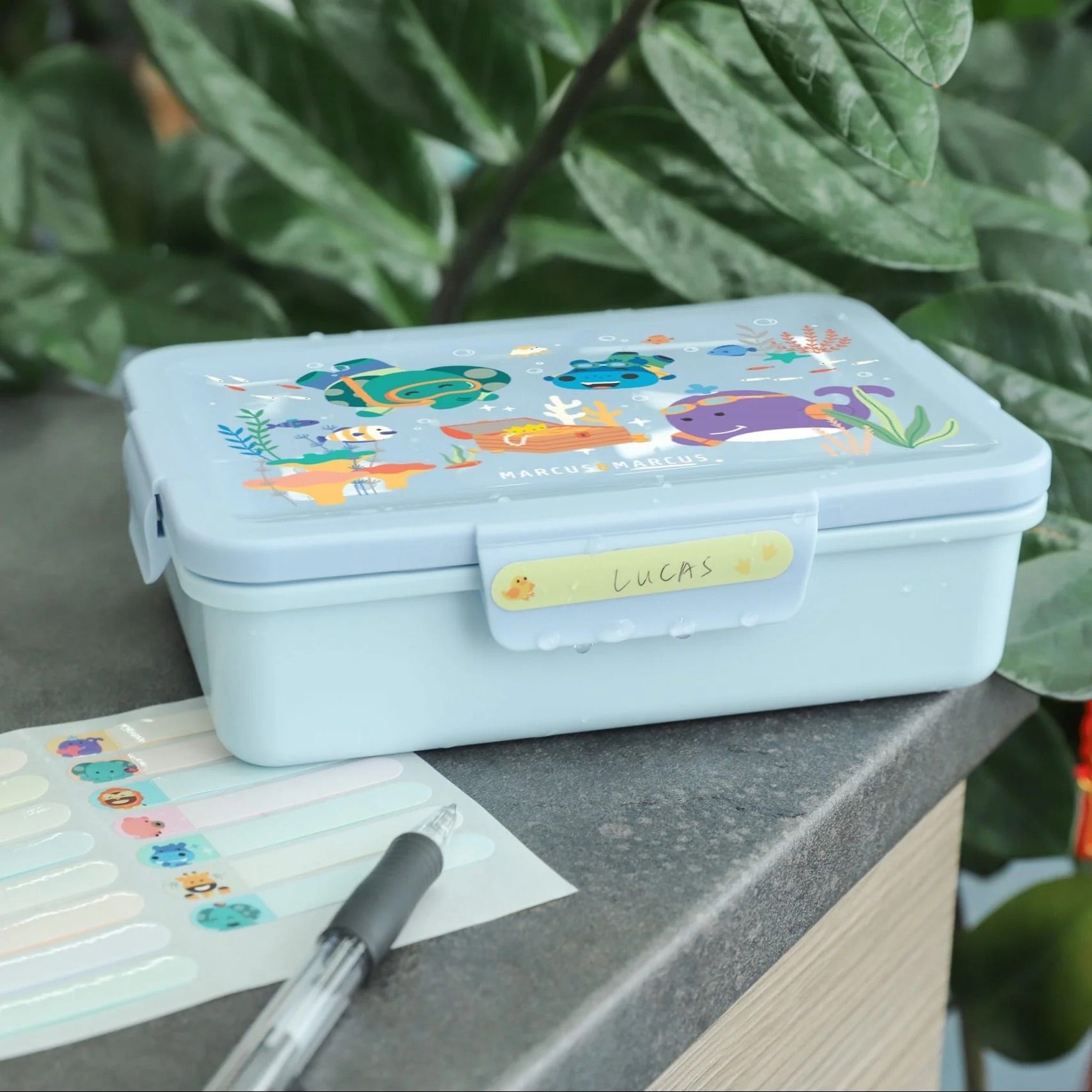 Marcus & Marcus - Bento Box | Sea Life Marcus & Marcus - Bento Box | Sea Life