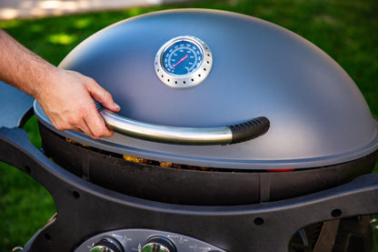 Pit Boss - Sportsman "3B" Portable 2-Burner Outdoor Gas Grill with Cart