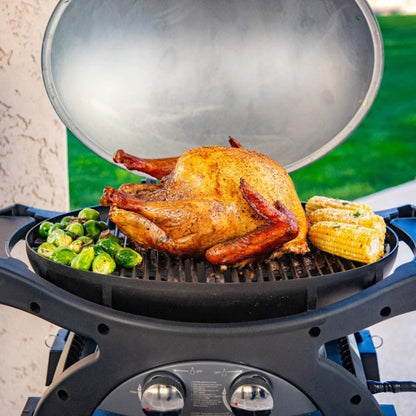 Pit Boss - Sportsman "3B" Portable 2-Burner Outdoor Gas Grill with Cart