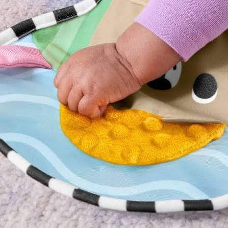 Fisher Price - Sensory Adventures Tummy Wedge Newborn Toy