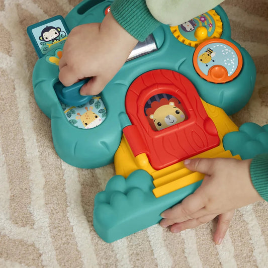 Fisher Price - Infant Activity Tree & Car Toy 0-2Y — BambiniJO Jordan