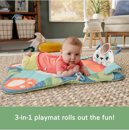 Fisher-Price - Roly Poly Panda Play Mat