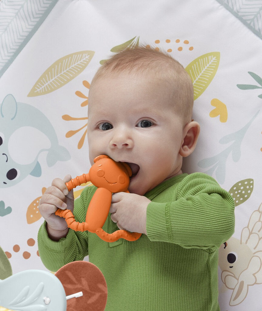 Fisher-Price - Teether | 3m+ Fisher-Price - Teether | 3m+