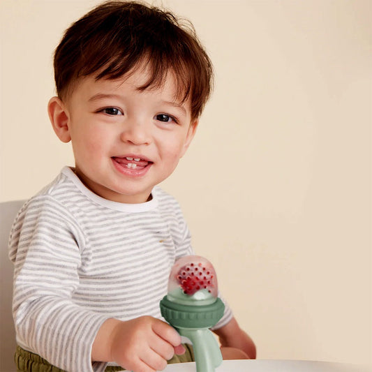 BBOX - Silicone Fresh Food Feeder Sage — BambiniJO Jordan