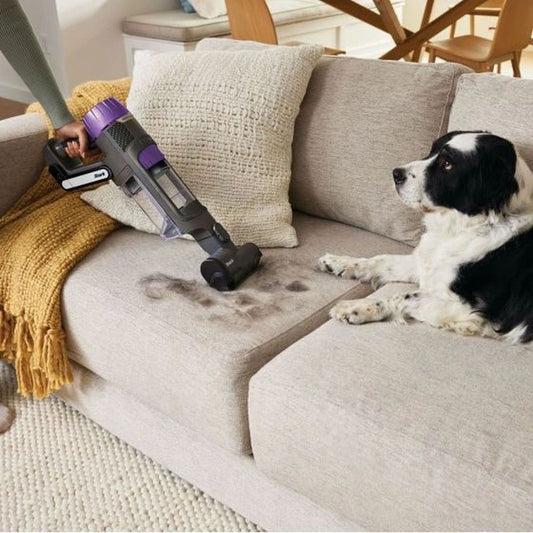 Shark PowerDetect Clean & Empty Cordless Vacuum 70-Minutes Run Time — BambiniJO Jordan