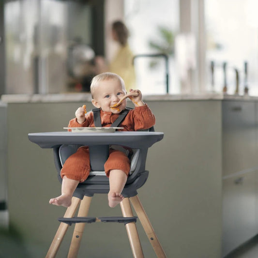 Maxi-Cosi Moa 4-in-1 Evolutive High Chair Beyond Graphite 6M-7Y — BambiniJO Jordan