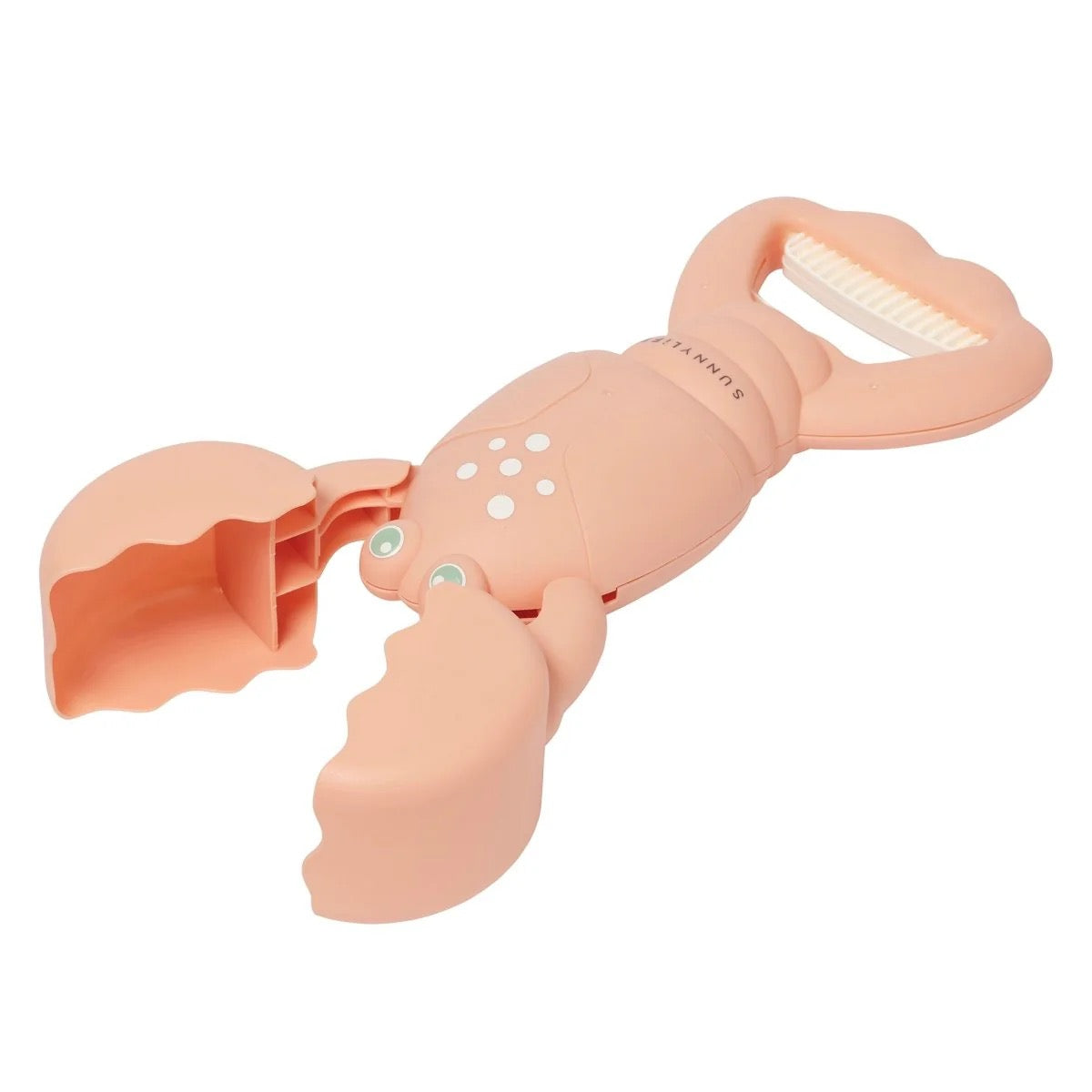 صني لايف - مخالب رملية | مرجان جراد البحر