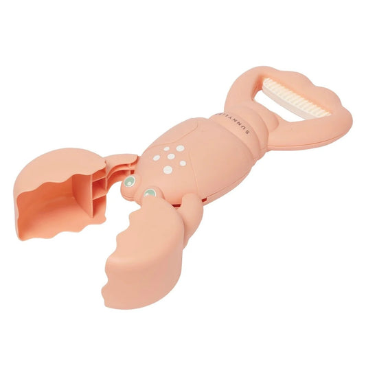 صني لايف - مخالب رملية | مرجان جراد البحر