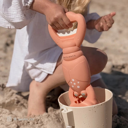 صني لايف - مخالب رملية | مرجان جراد البحر