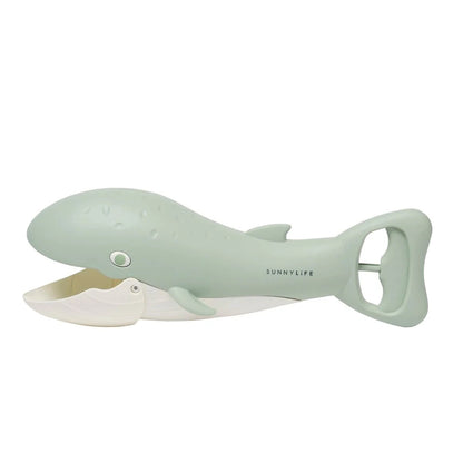 صني لايف - ساند كلوز | أخضر الحوت