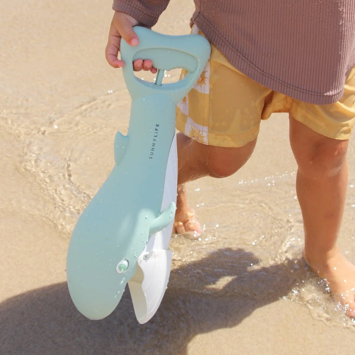 صني لايف - ساند كلوز | أخضر الحوت